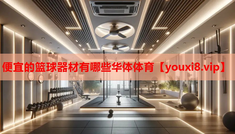 便宜的篮球器材有哪些华体体育
