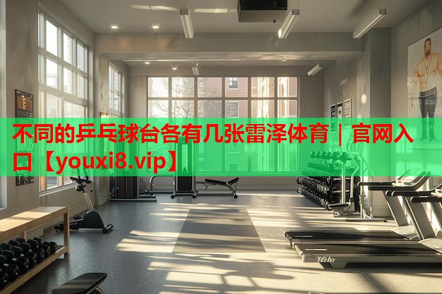 不同的乒乓球台各有几张雷泽体育｜官网入口