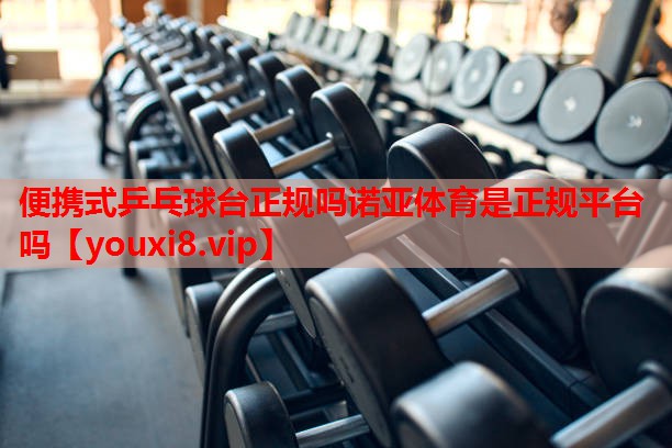 便携式乒乓球台正规吗诺亚体育是正规平台吗