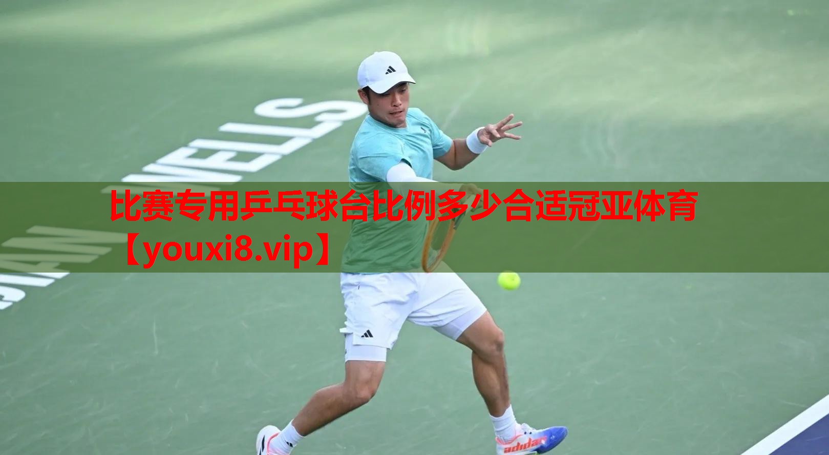 比赛专用乒乓球台比例多少合适冠亚体育