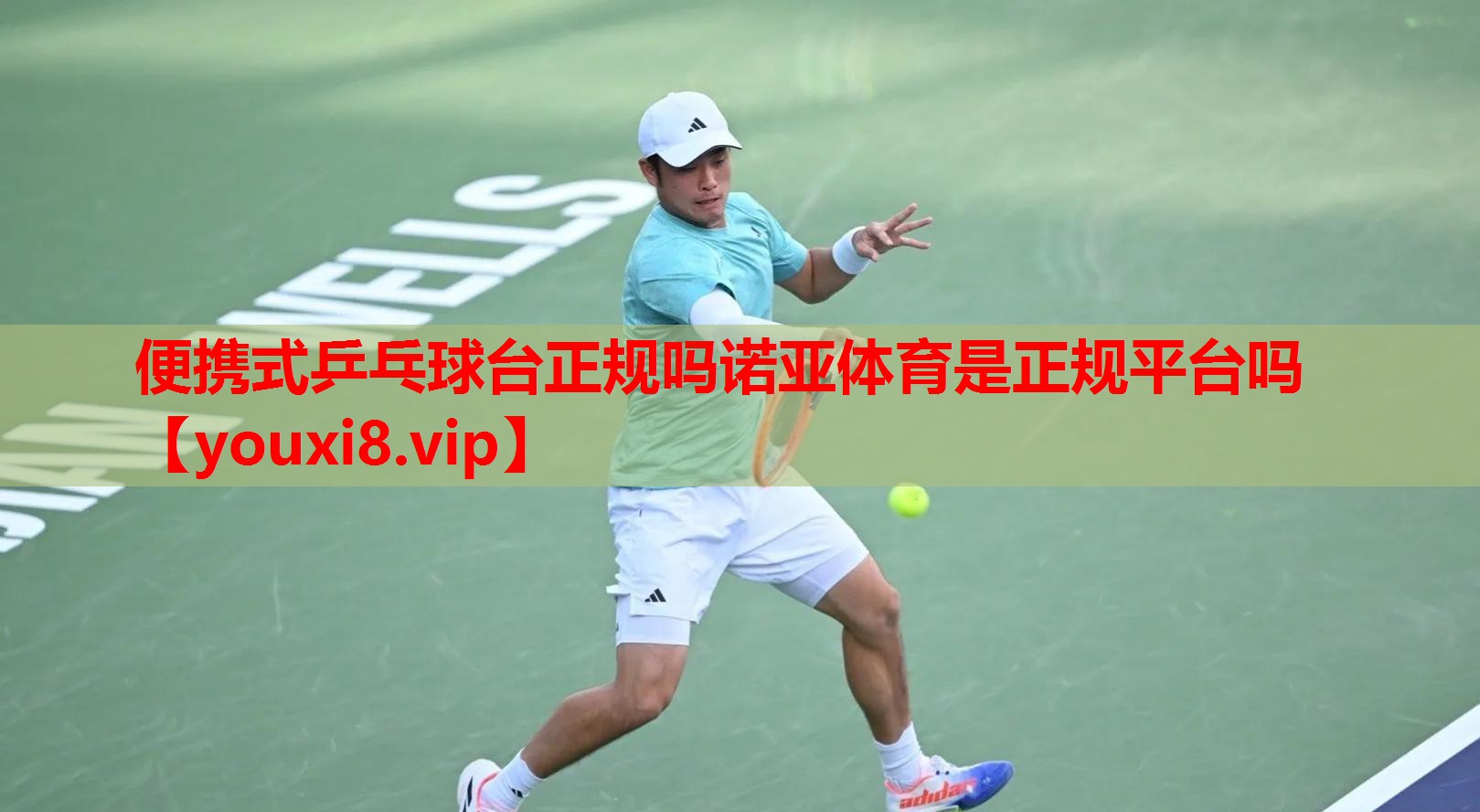 便携式乒乓球台正规吗诺亚体育是正规平台吗