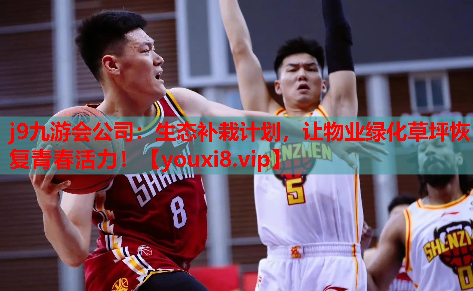 j9九游会公司：生态补栽计划，让物业绿化草坪恢复青春活力！
