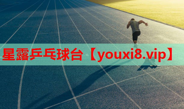 星露乒乓球台 星露乒乓球台