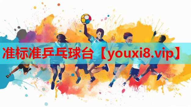 准标准乒乓球台 准标准乒乓球台