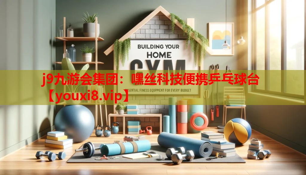 嘿丝科技便携乒乓球台 嘿丝科技便携乒乓球台