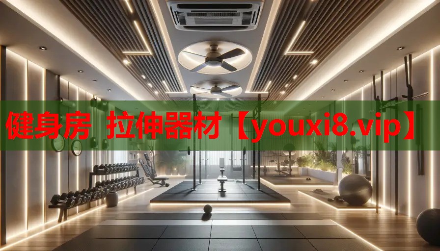 健身房 拉伸器材 健身房 拉伸器材