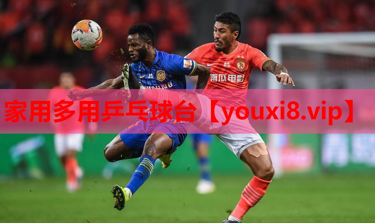 家用多用乒乓球台 家用多用乒乓球台